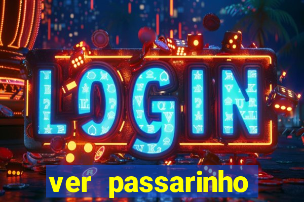 ver passarinho morto significado espiritual